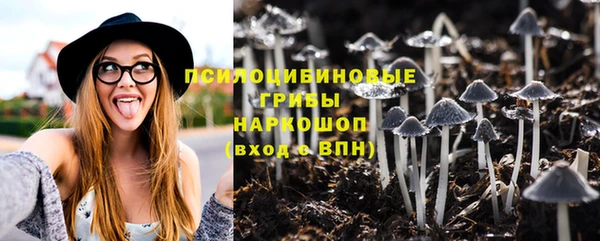 винт Лабытнанги