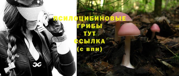 винт Лабытнанги