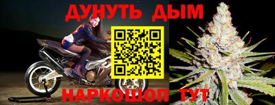 шишки Кандалакша
