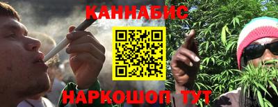 шишки Кандалакша
