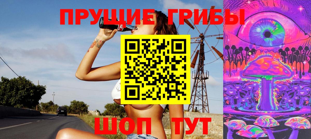 Псилоцибиновые грибы Psilocybe Кызыл