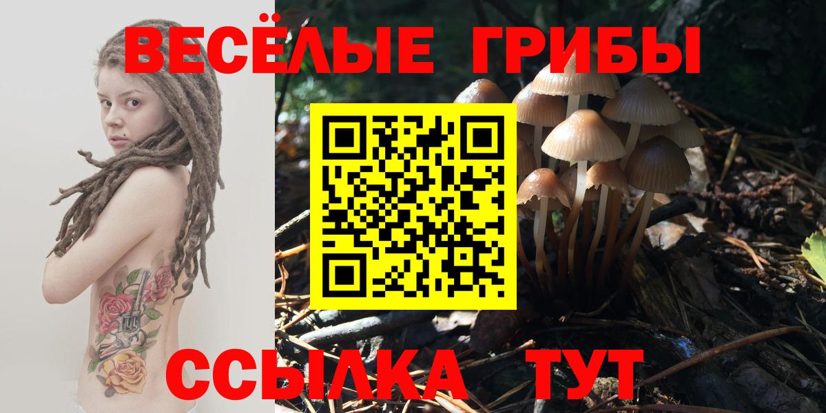 Псилоцибиновые грибы прущие грибы  Галлюциногенные грибы ЛСД  Кызыл 